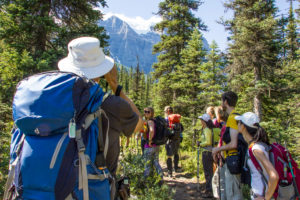Hiking group in the clear forest, Rocky Mountains, mountains in the background, Canada Hiking group in the clear forest, Rocky Mountains, mountains in the background, Canada